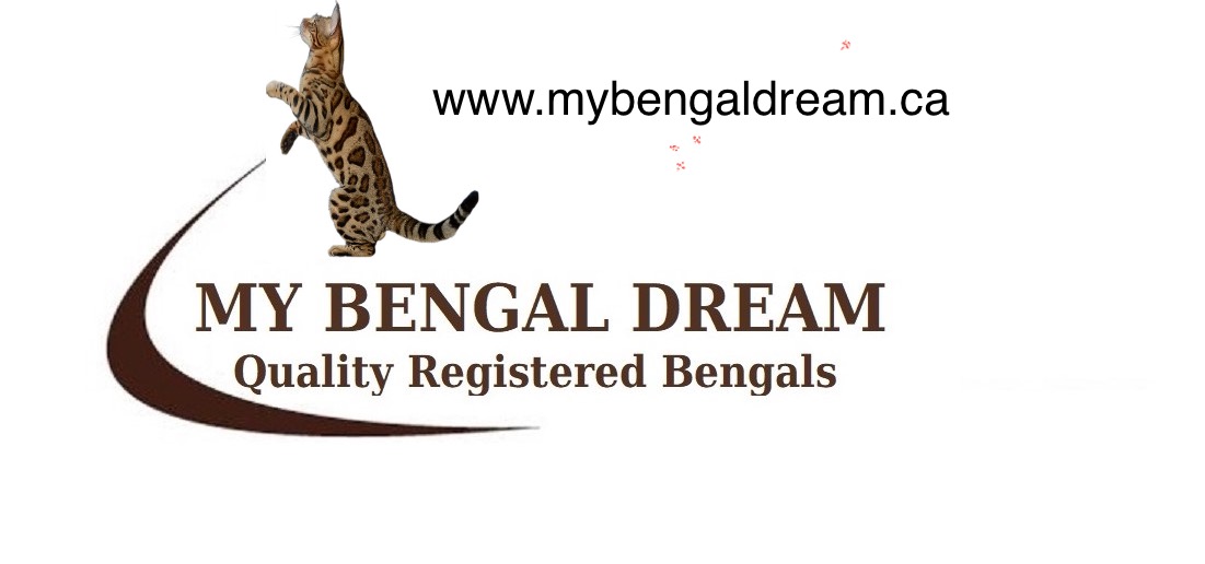 My Bengal Dream