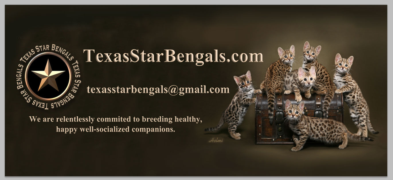 Texas Star Bengals