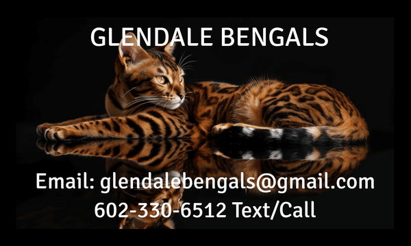 Glendale Bengals